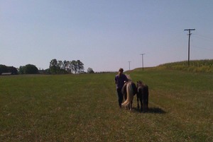 Lundberg-Field-Ponies-Ann-Arbor-2011